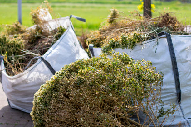 Best Junk Hauling Services  in Portales, NM